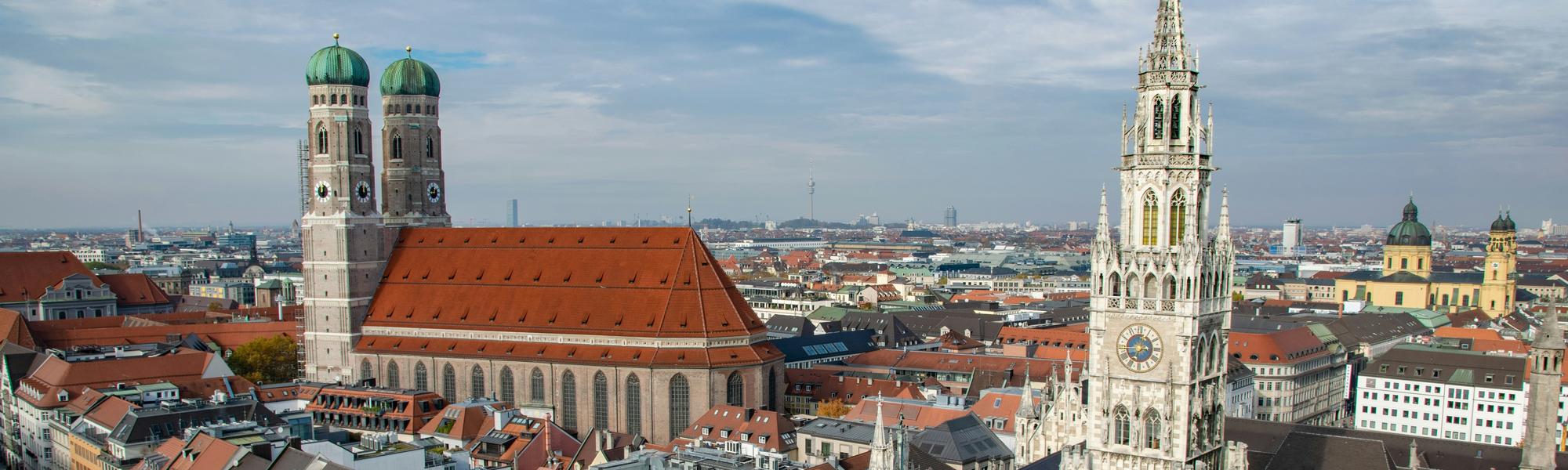 Mich skyview